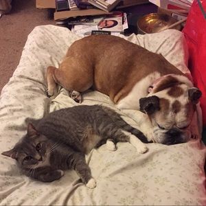 Meet your Posher, Kelley